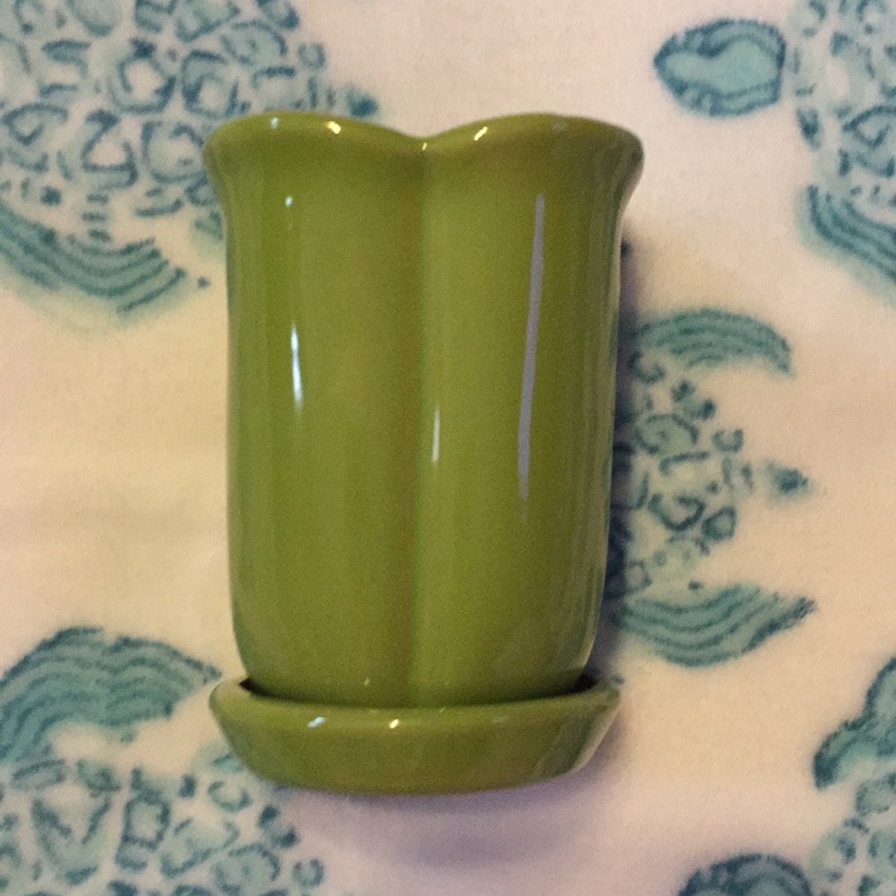 Flower tulip green little pot